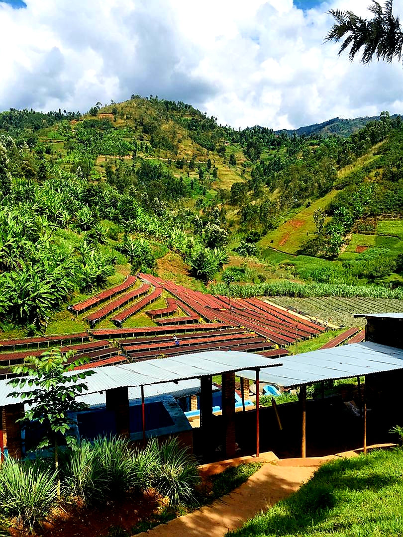 Rwanda - Gasharu - Espresso