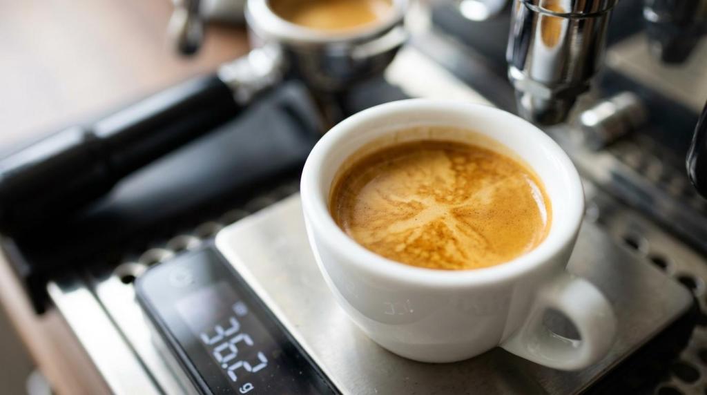 Den komplette guide til espresso derhjemme: fra bønne til kop