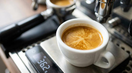 Den komplette guide til espresso derhjemme: fra bønne til kop