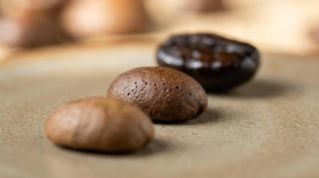 Ristningsgrader forklaret: lys, mellem og mørk til espresso og filter