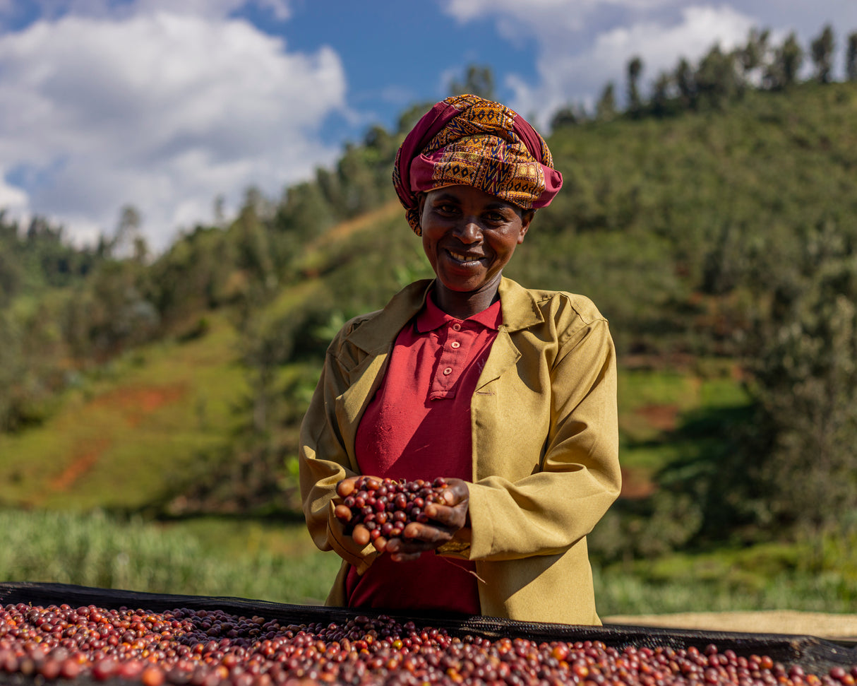 Rwanda - Gasharu - Espresso
